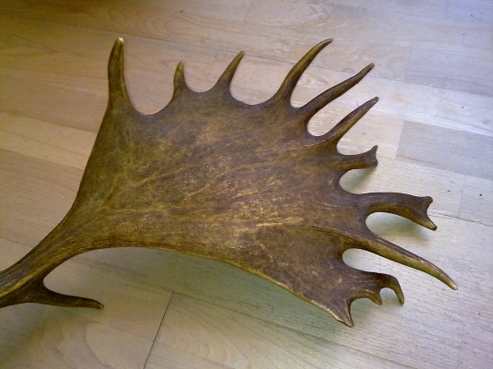 Nachystané pre Carpina, čistá plocha 30x20 cm