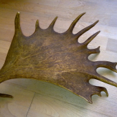 Nachystané pre Carpina, čistá plocha 30x20 cm