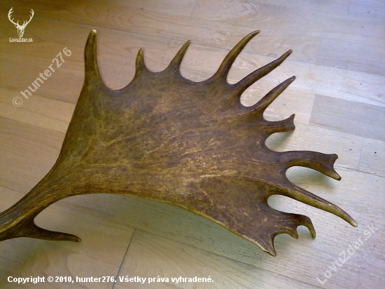 Nachystané pre Carpina, čistá plocha 30x20 cm