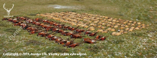 taký menší výraď .... 254 ks