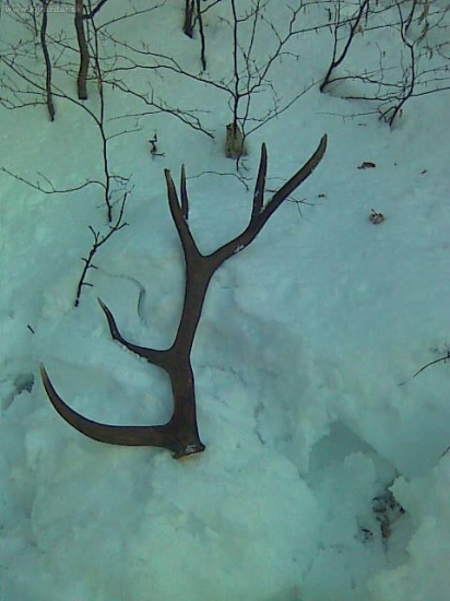zase raz dohladal kamaratovi