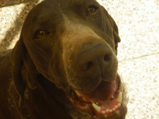 AJDA moja šampiónka