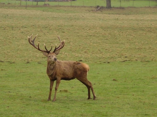 UK