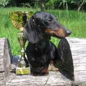 Effie Magic of Morion ( BOB Subotica, Srbsko )