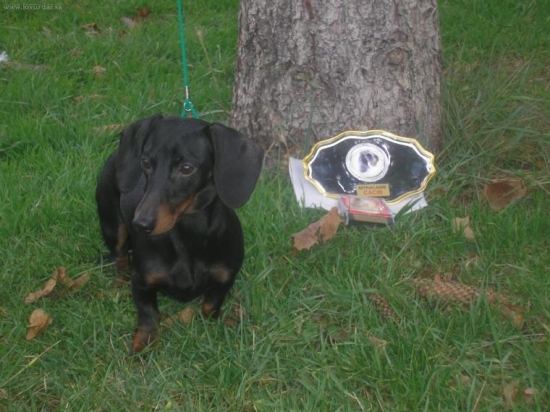 Effie Magic of Morion