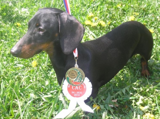 Effie Magic of Morion