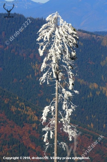 jeseň,alebo zima