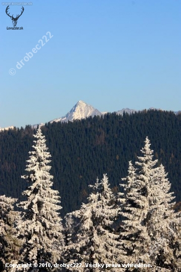 Kriváň