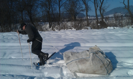 Snežnice - Prechod snehom na kŕmení