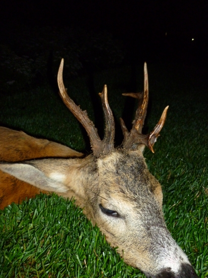 Večerný  príbeh - môj  príbeh.