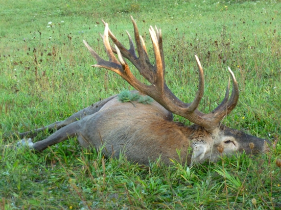 Ako Rudko na 70-tku Veľkého Jeleňa ulovil  II