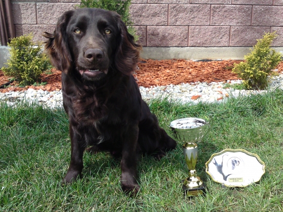 NVP Nitra 19.3.2011 - Cooper Any Bon