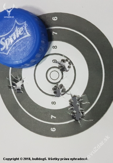 Sellier Bellot .308 Win HPBT Match 168 gr. 10,9 g