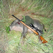 Pěkné sela