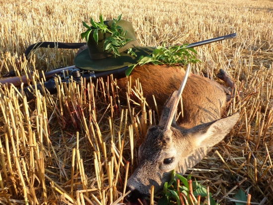 Jednorožec Bánovský