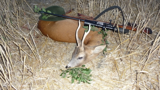 Škůdník