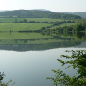 kousek naseho reviru