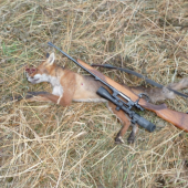 Na 80 m z volné ruky