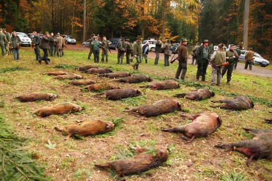 Spoločná poľovačka v Brne 2