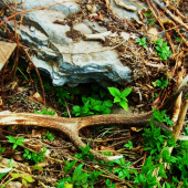 neboj,nenechám ťa tu,,