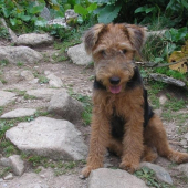 6.mesačná na Ďumbieri