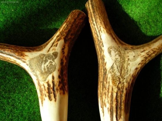 Strelecké palice-vrchná časť