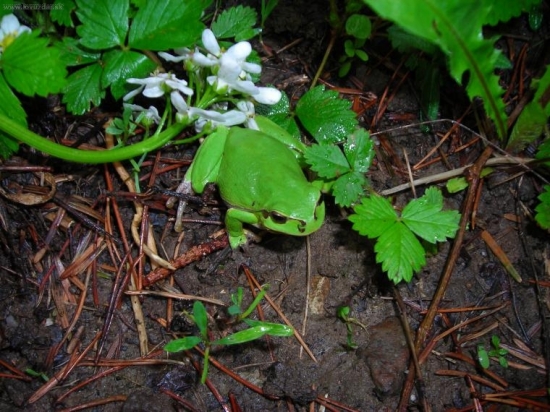 Moj úlovok z včerajšej búrky