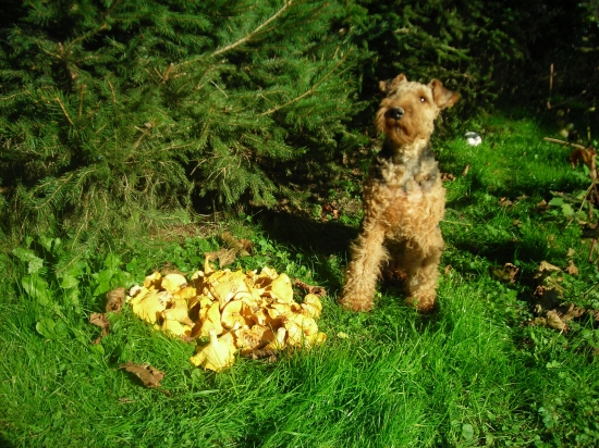 ..sa nám zadarilo,,