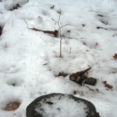 pri seníku som si našiel darček,,