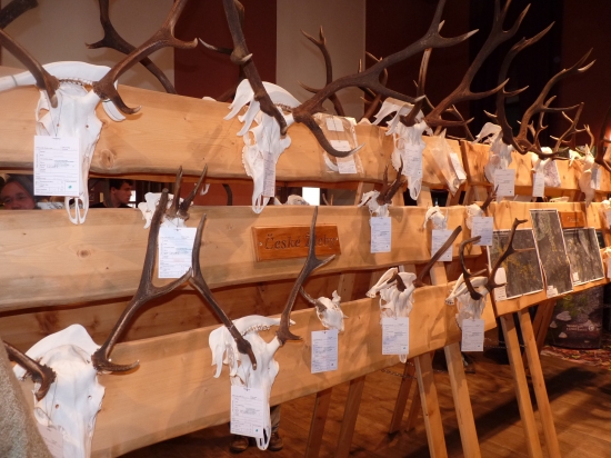 Výstava trofejí 2011 -Šumava