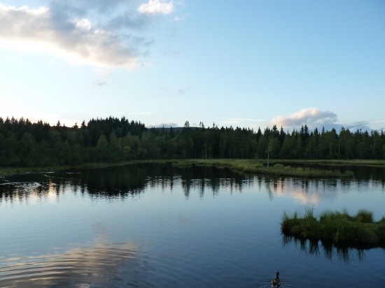 Na Chalupské slati