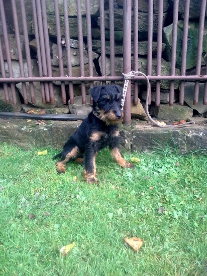 ABA Z Lednickej doliny