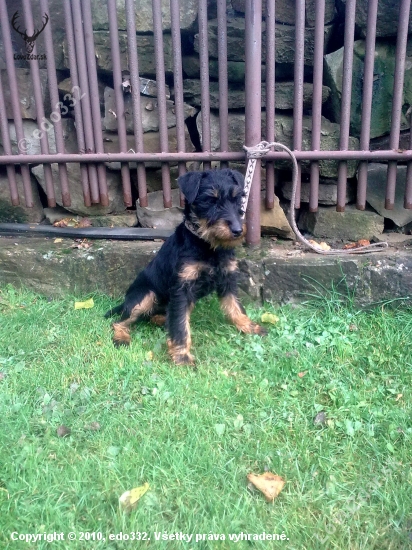 ABA Z Lednickej doliny