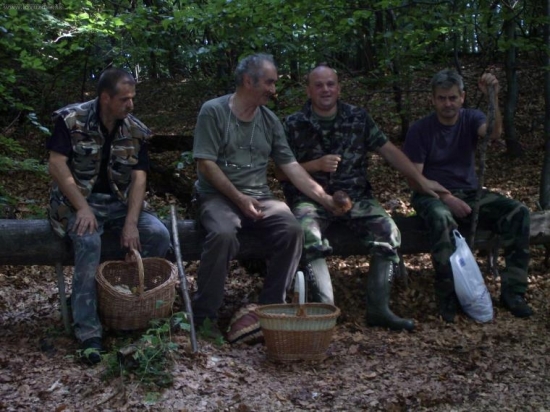 Lesny odpočinok