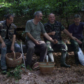 Lesny odpočinok