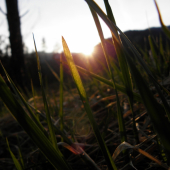 Pri západe na horách_2