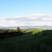 Pri vychádzke som sa otočil