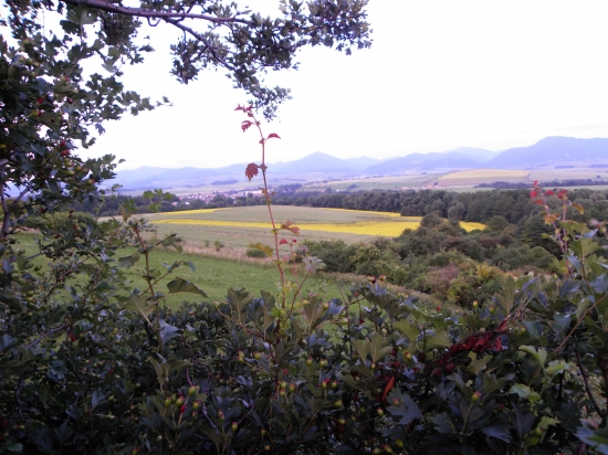 dobre sa sedelo