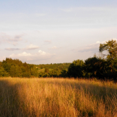 u susedov na Morave - Břestek-1