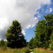 pri dnešných potulkách 1