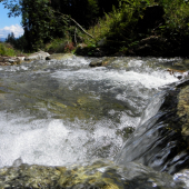 pri dnešných potulkách 2