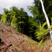 Tak aj tadial som prešiel