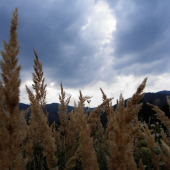 pri večerných potulkách