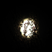 večer pri návrate domov