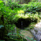 toto ma dnes zachránilo - :))