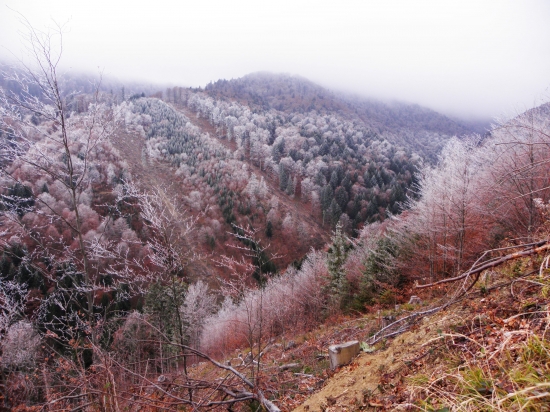 V rúbani na kontrole