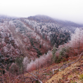 V rúbani na kontrole