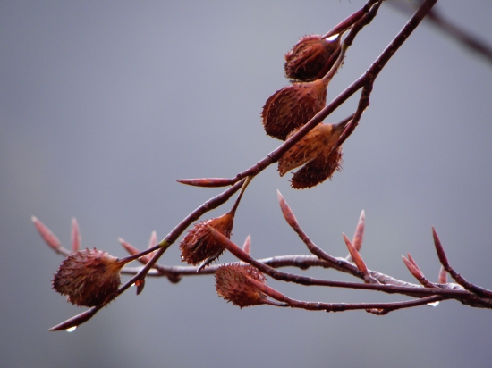 Keď nič nechodilo pod posed ...