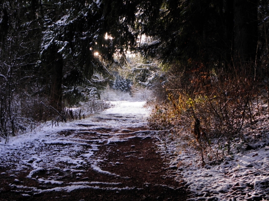 cestička do inej krajiny :))