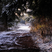 cestička do inej krajiny :))